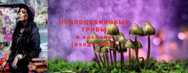 гашик Беломорск