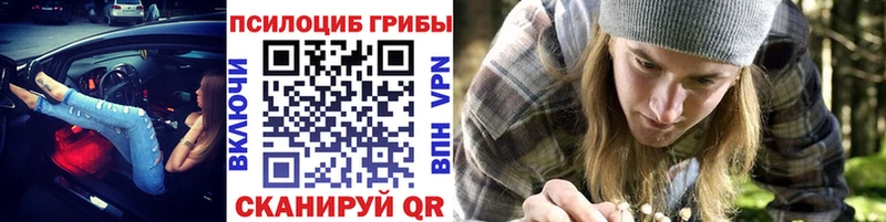 Псилоцибиновые грибы GOLDEN TEACHER  наркошоп  Пестово 